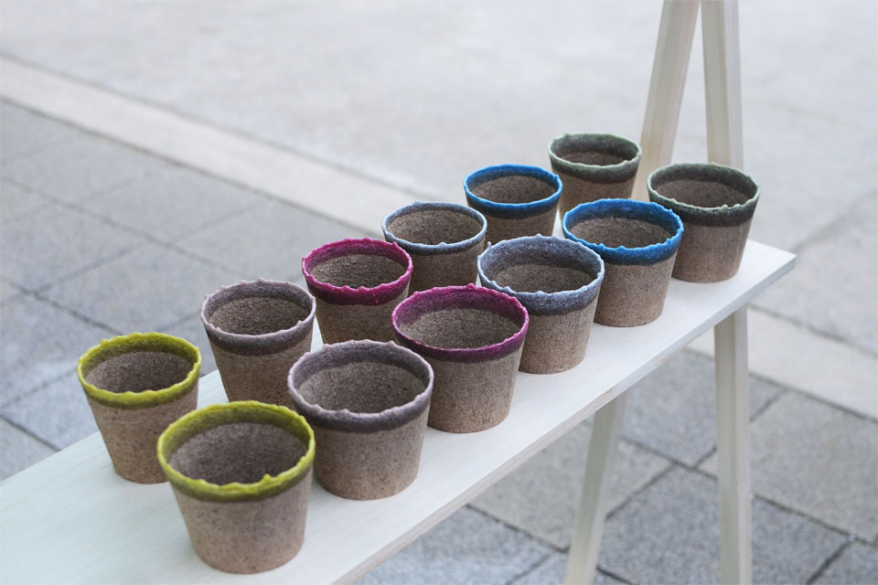 カラーバリエーション