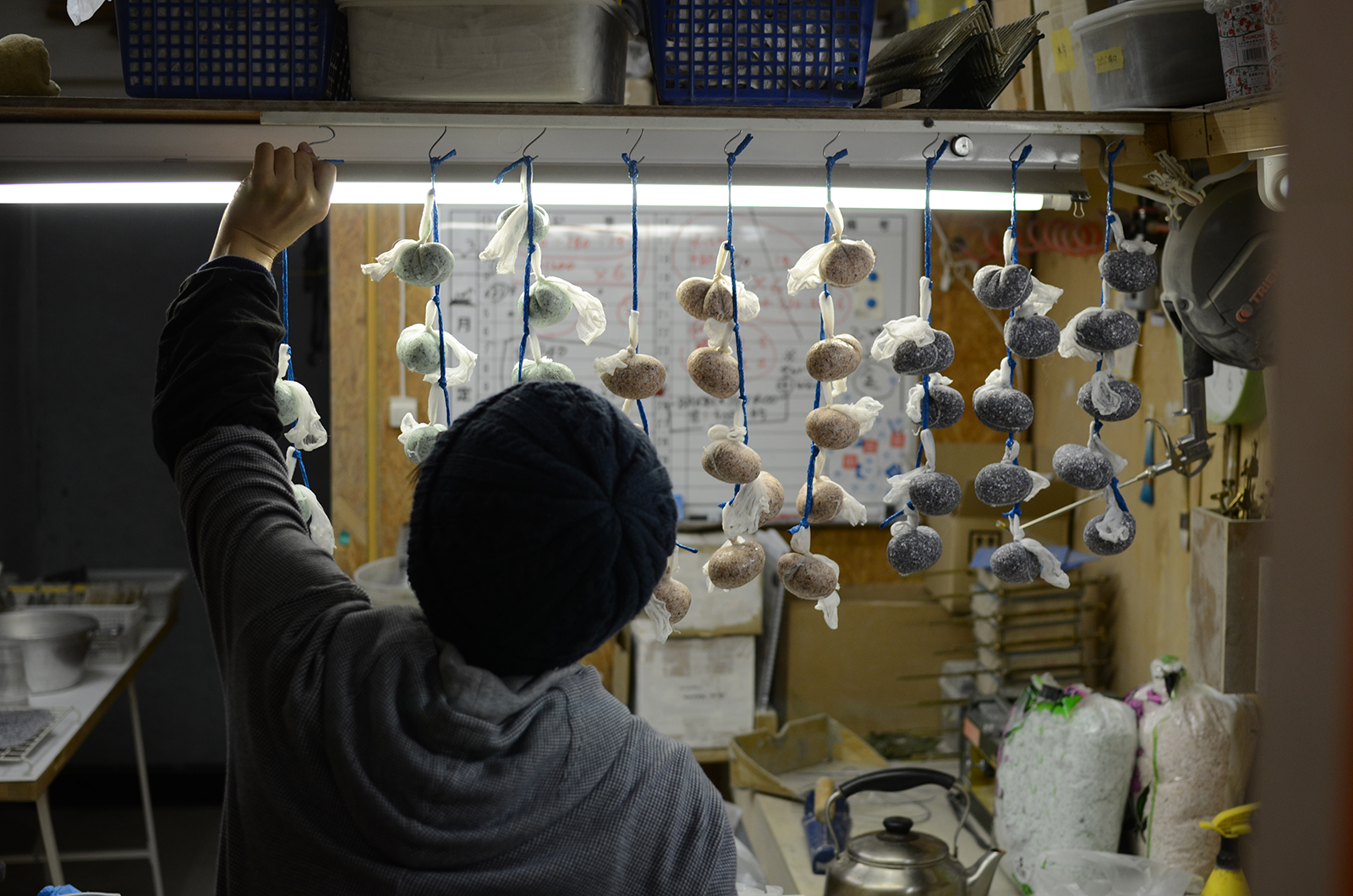 Cotton dried up in nets.