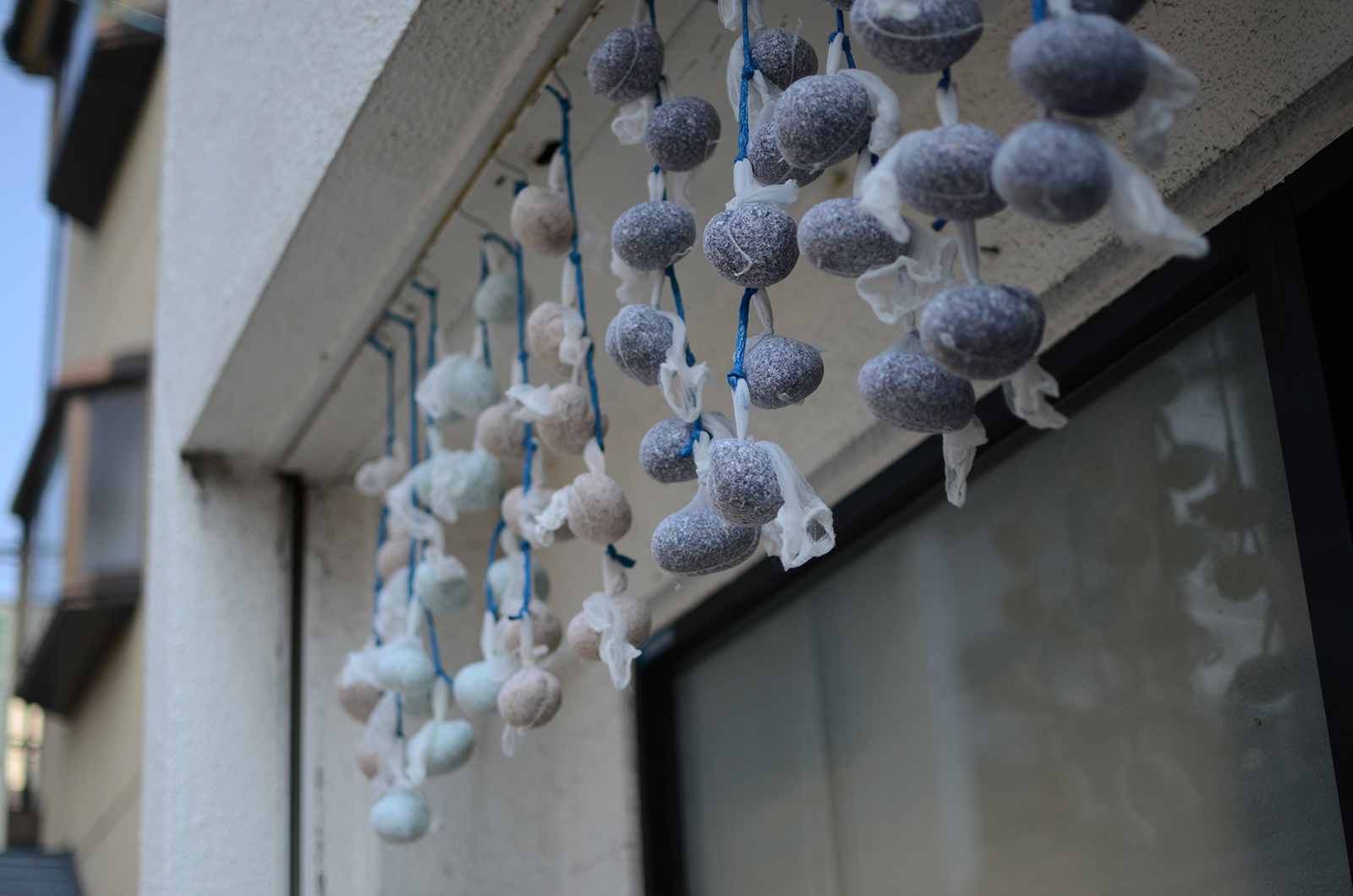 Cotton dried up in nets.